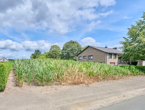                                         Bouwgrond te koop in Meeuwen, € 190.000
