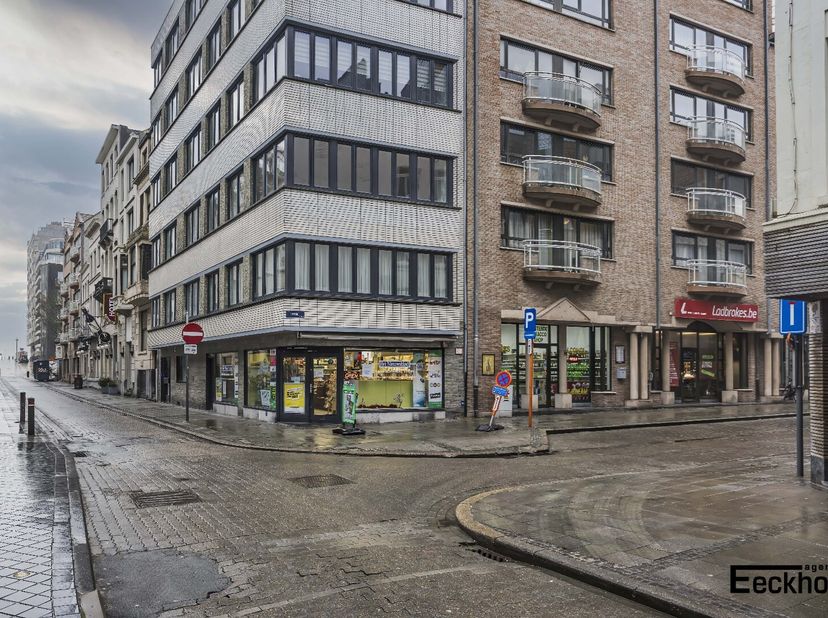 Bien professionnel à vendre
                    à 8400 Oostende