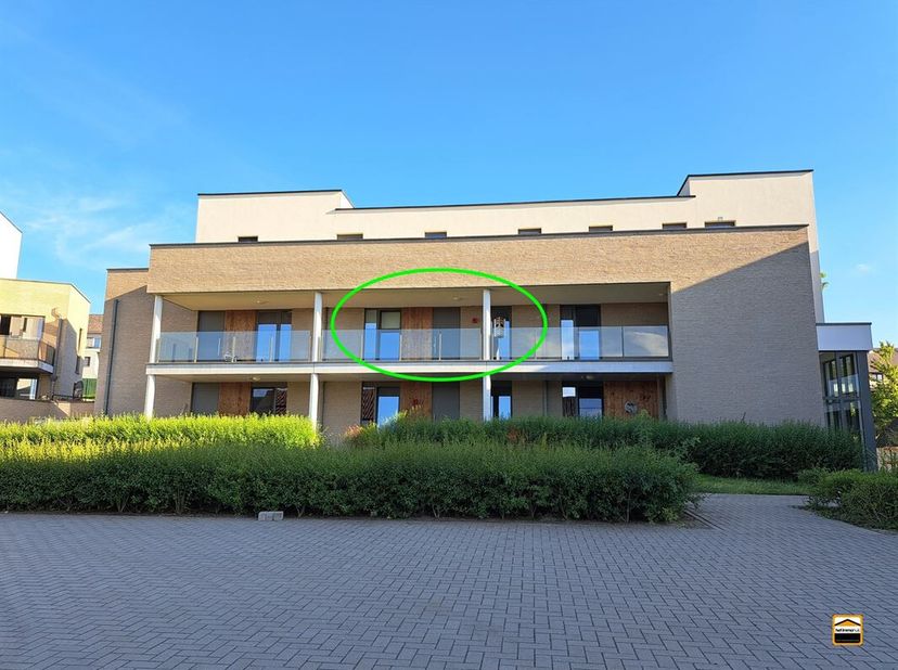 Appartement à louer
                    à 3840 Borgloon