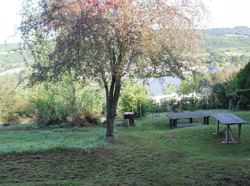 Terrain à vendre à Rue de la Colline (lot27) 31,
                    6953 Forrières