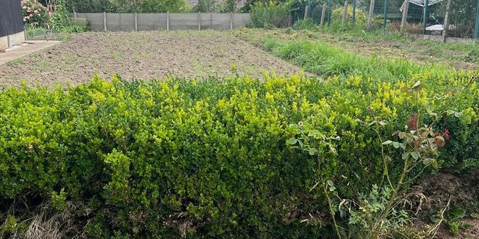 Grond te koop in Neerlintersesteenweg 48, 3300 Oplinter