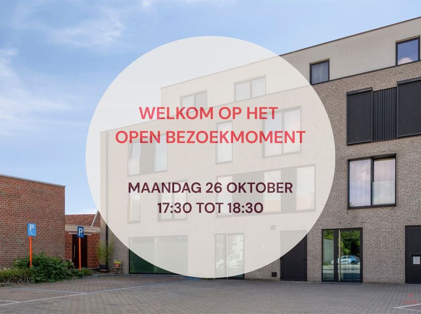 Bien professionnel à vendre à Kruisweg 11 boîte 0001,
                    8570 Anzegem
