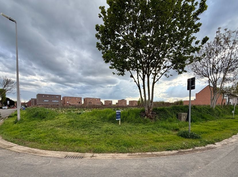 Terrain à vendre
                    à 3630 Meeswijk