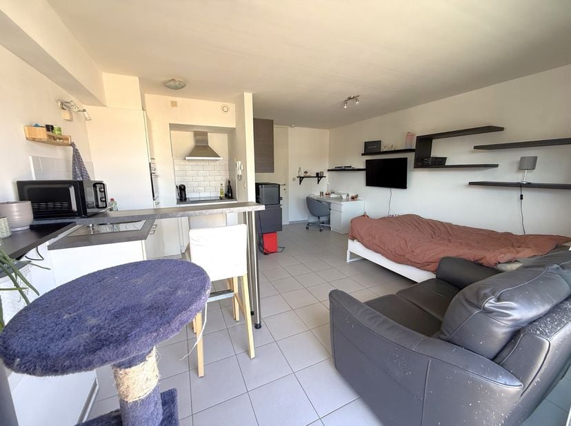 Ruime lichtrijke studio met terras op TOPLIGGING! De studio ligt op de derde verdieping van deze rustige en goed onderhouden residentie. Via de inkomh