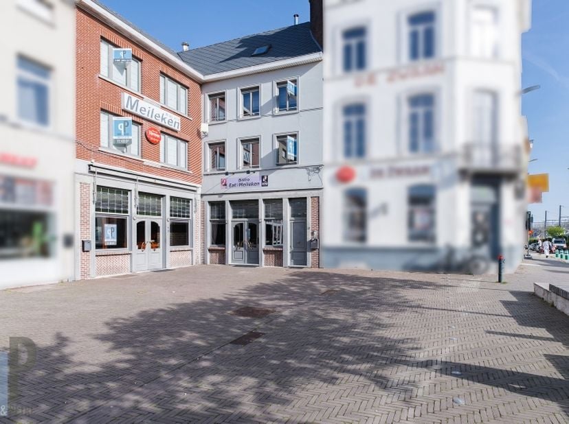 Bien professionnel à vendre
                    à 9620 Zottegem
