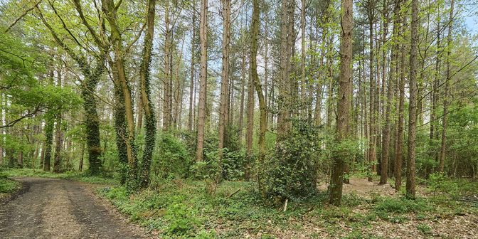 Grond te koop in 3940 Hechtel