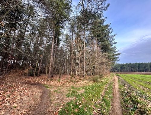                                         Bois à vendre à Lummen, € 72.880

