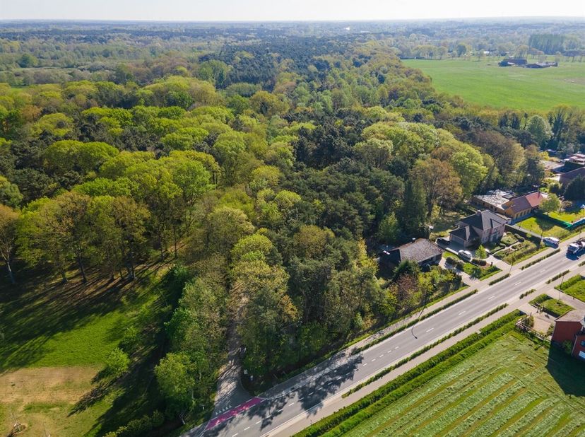 Terrain à vendre
                    à 2450 Meerhout