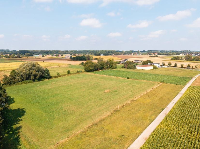 Grond te koop in Bulsomwegel,
                    1910 Kampenhout