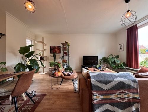                                         Appartement à louer à Wetteren, € 875
