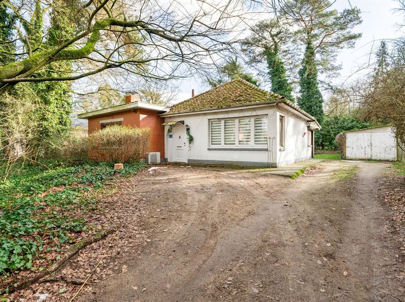 Ligging: De woning is rustig gelegen, in de nabijheid van winkels, scholen en belangrijke verbindingswegen. <br />
Beschrijving: Via de inkomhal, die