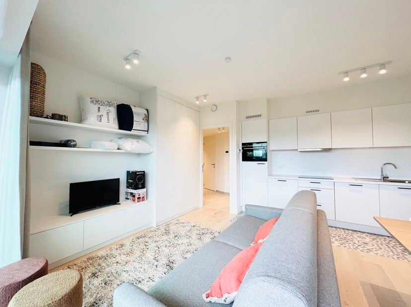 AUDERGHEM - Ideaal gelegen vlakbij de metrohalte Delta, de ULB/VUB en het station van Etterbeek: prachtige GEMEUBILEERDE STUDIO (0 slaapkamers/1 badka