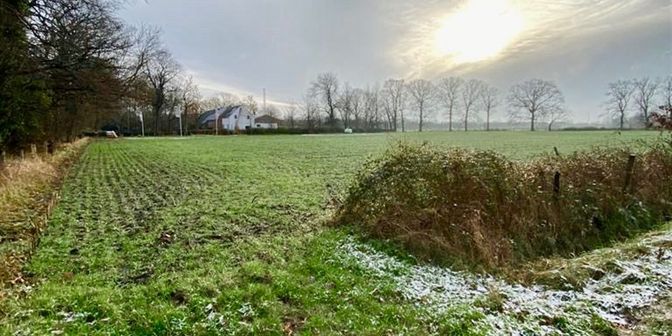 Terrain à vendre à Monnikenhofstraat 265, 2040 Berendrecht