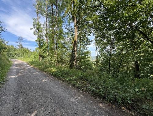                                         Bouwgrond te koop in Bomal-sur-Ourthe, € 124.000
