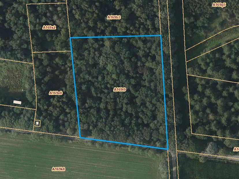 Terrain boisé de 10 304 m²<br />
Situation :<br />
Ce terrain boisé bénéficie d'un emplacement calme, entouré de forêts et de terres agricoles, et se