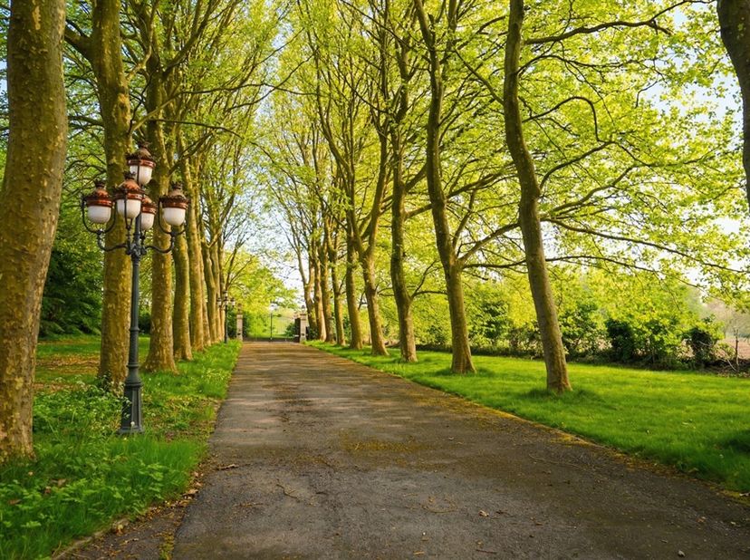 Deze eigendom, gelegen op een domein van ca. 1 hectare, bereik je via een lange oprijlaan omzoomd door statige bomen. Hier geniet je van rust en priva