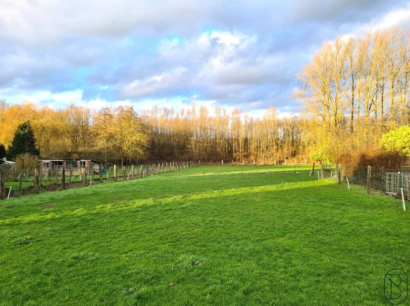 Terrain à vendre à Route de Frasnes,
                    7812 Mainvault