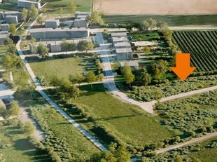 PLOT Image