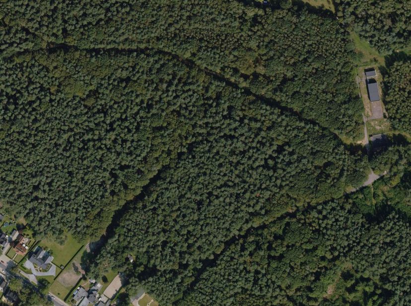 Perceel bosgrond van 34are en 15 centiare in Zutendaal