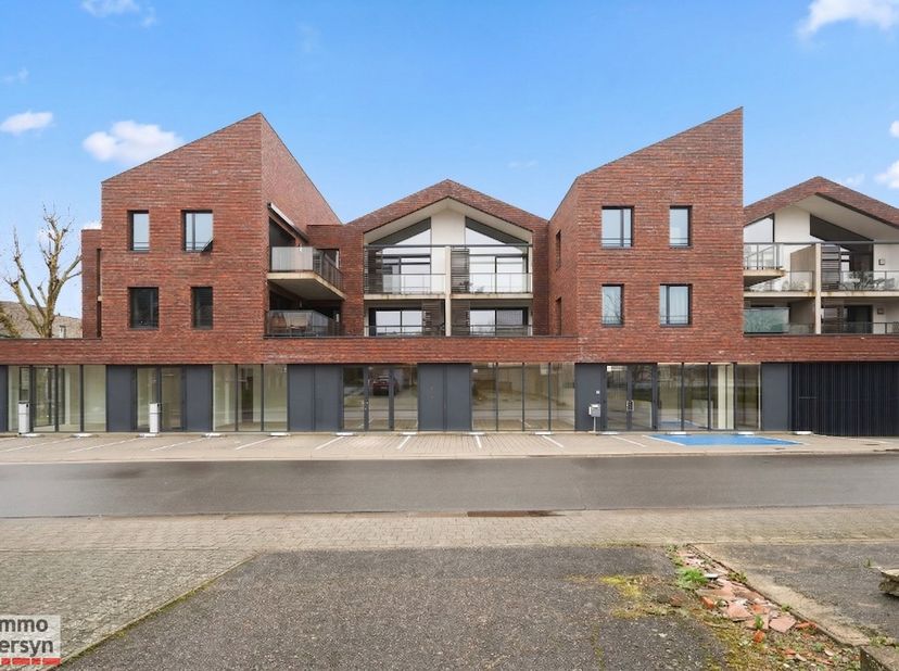 Bien professionnel à vendre
                    à 3290 Diest
