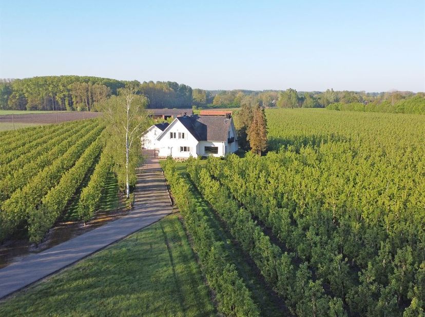 Maison à vendre
                    à 3500 Hasselt