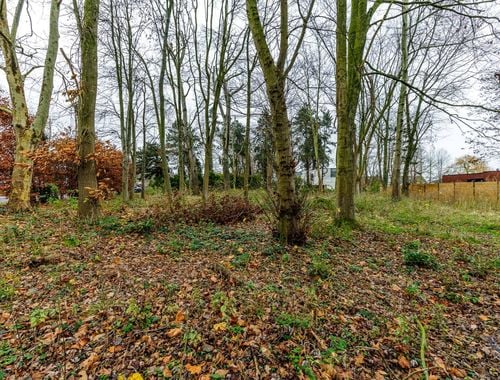                                         Terrain à bâtir à vendre à Dikkelvenne, € 199.000
