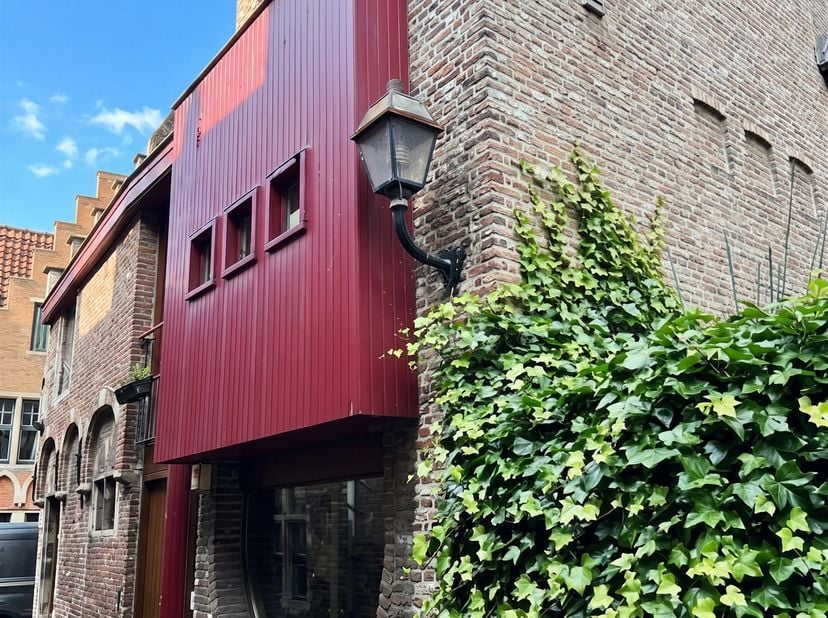 HOEKPAND  IN HET GENTSE PATERSHOL.  In het hart van een van de meest charmante  wijken van de stad bevindt zich deze karaktervolle eigendom. In een ru