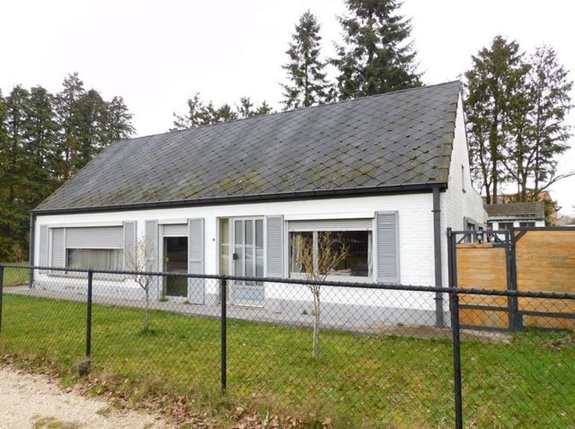 Bent u op zoek naar een woning waar rust, comfort en ruimte samenkomen? Dan is deze gelijkvloerse woning in de Wittevennestraat nummer 21 met een bewo