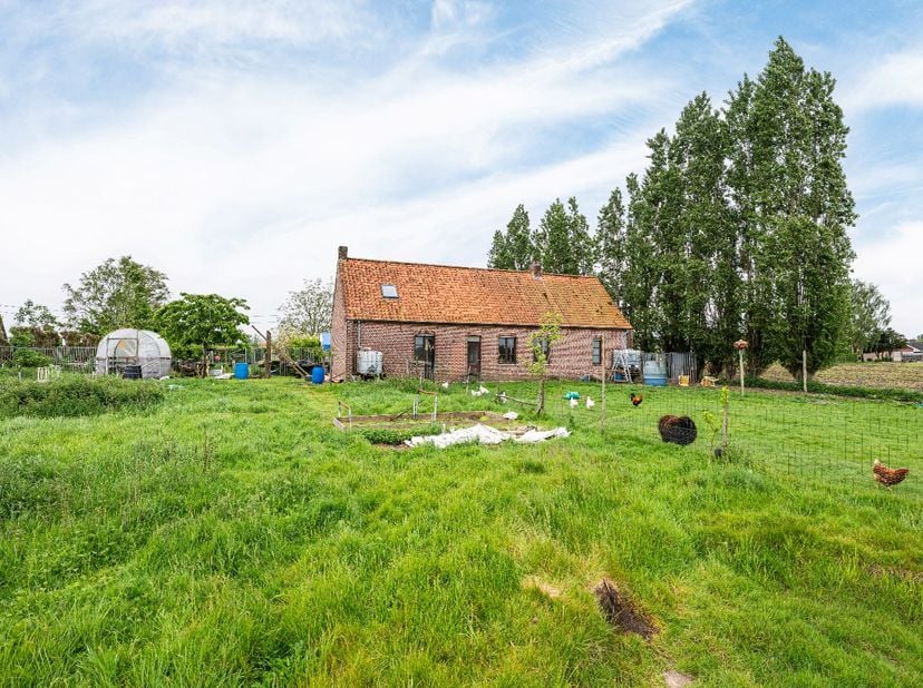 Maison à vendre
                    à 8750 Wingene