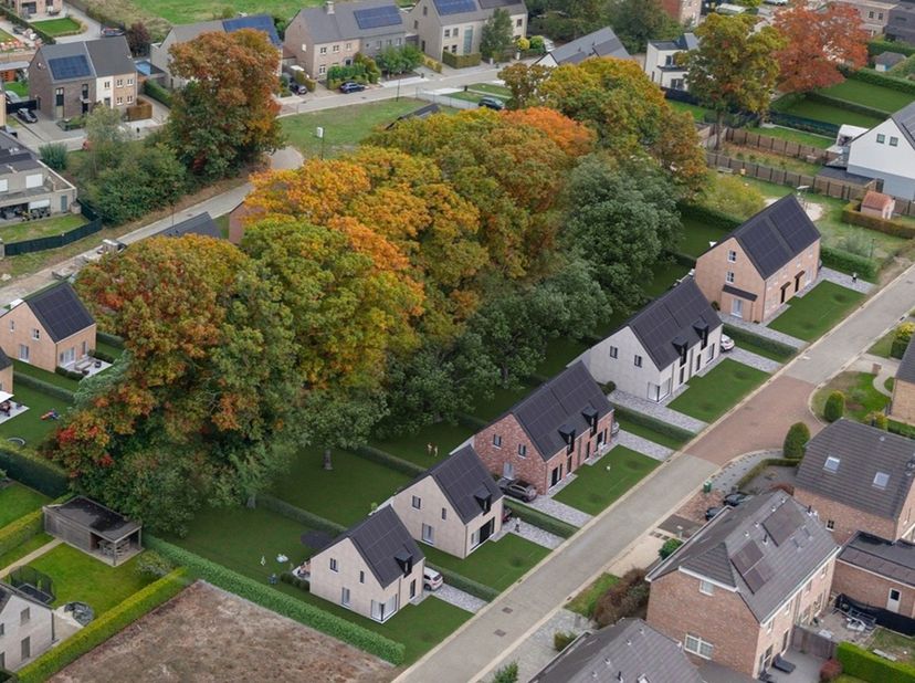Projet à Nonnenbos 9,
                    2381 Weelde