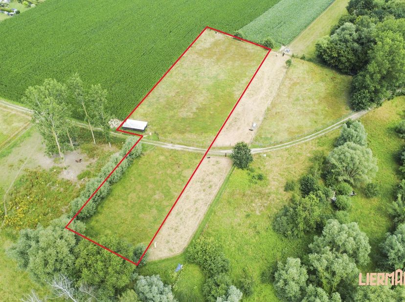Deze weide heeft een oppervlakte van 50 are 05 centiare en is volledig gelegen in agrarisch gebied.<br />
Het perceel is makkelijk bereikbaar via de B