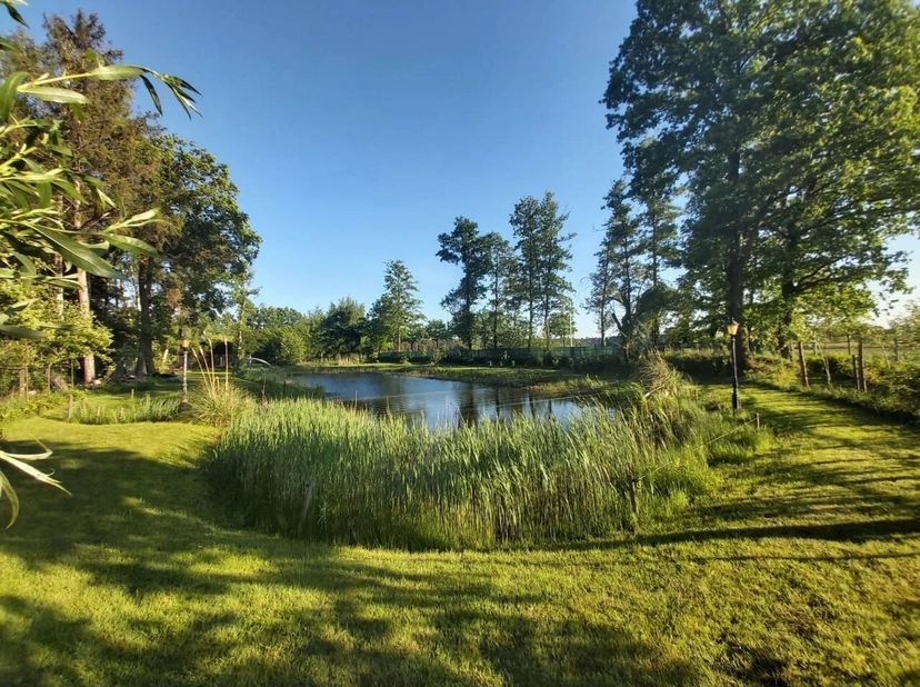 Bent u op zoek naar een rustige plek om te ontspannen in de natuur, met ruimte om een recreatiewoning te bouwen? Deze prachtige recreatiegrond van 215