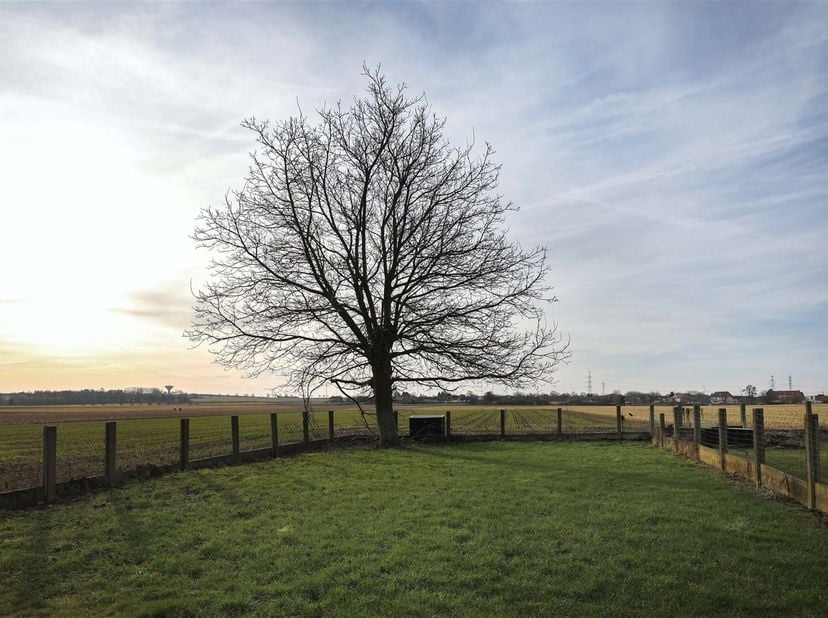 Gunstig en zonnig gelegen perceel met landelijk karakter op 8a 60ca <br />
<br />
Omgeving:<br />
+ Groen en centraal gelegen<br />
+ Op wandelafs
