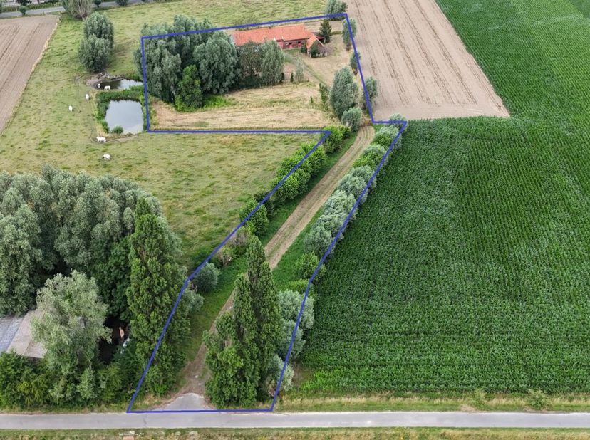KARAKTERVOLLE ERFGOEDHOEVE<br />
<br />
Karaktervolle te renoveren erfgoedhoeve op een uitzonderlijk groen en rustig gelegen perceel van ca. 8.281 m²