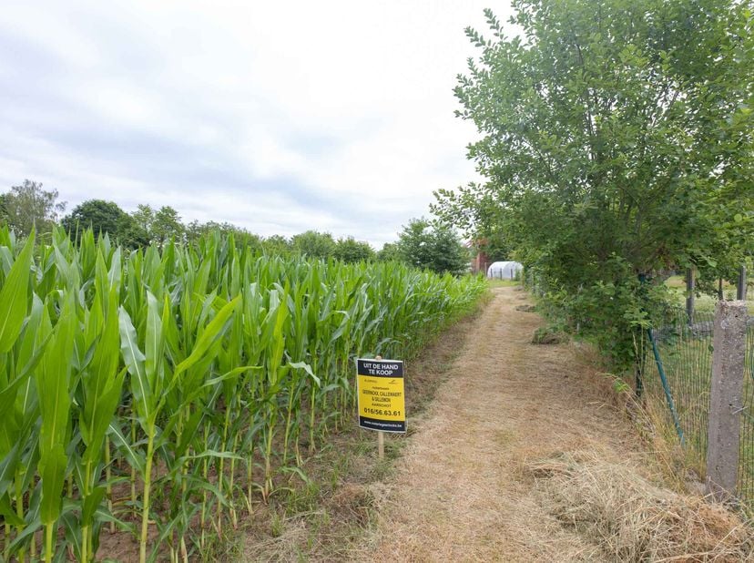 PERCEEL BOUWLAND ter plaatse genaamd "Dorp", gekadastreerd sectie B nummer 83A P0000 met opp 28a50ca.<br />
Verpacht.