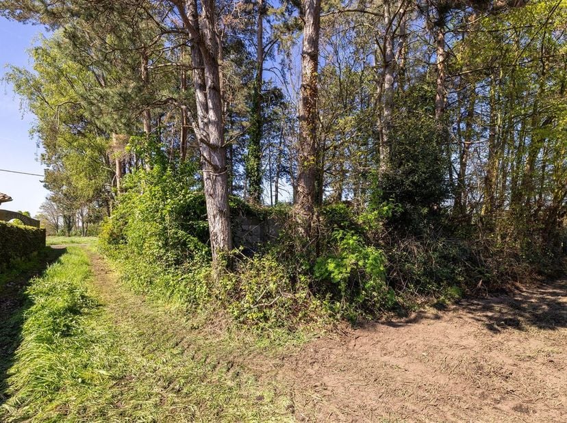 Gunstig gelegen bouwgrond voor open bebouwing. <br />
De bouwgrond heeft een oppervlakte van 814m² en heeft een straatbreedte van 16m, dewelke breder