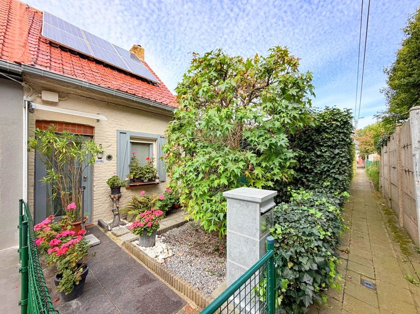 Maison à vendre à Opperij 5,
                    9690 Berchem