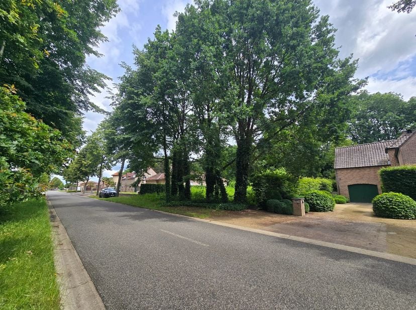 Terrain à vendre
                    à 3582 Koersel