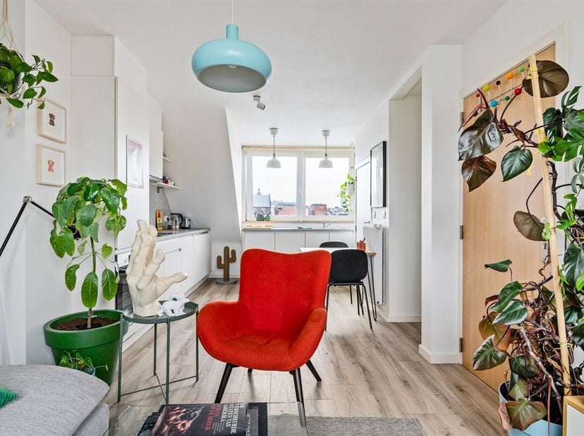 Appartement d'une chambre à coucher prêt à l'emploi dans un endroit calme<br />
 Situation : Découvrez cet appartement dans la Klappeistraat, une rue