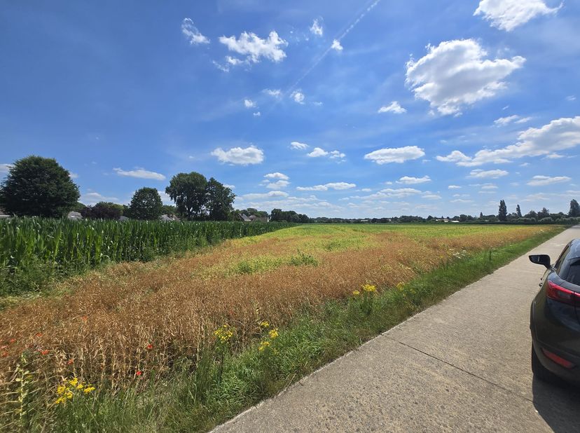 Landbouwgrond te koop gelegen aan de Geilroedeweg te 1910 Kampenhout.<br />
<br />
Kenmerken:<br />
<br />
Oppervlakte: 24 are 96 centiare (2.496 m²)<