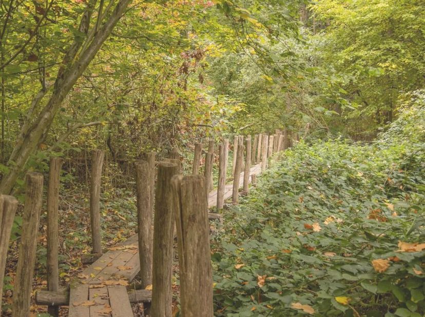 Deze eigendom, in de regio Muziekbos/Kanarieberg wordt discreet verkocht. Alle informatie omtrent de eigendom kan verkregen worden na contact met Immo