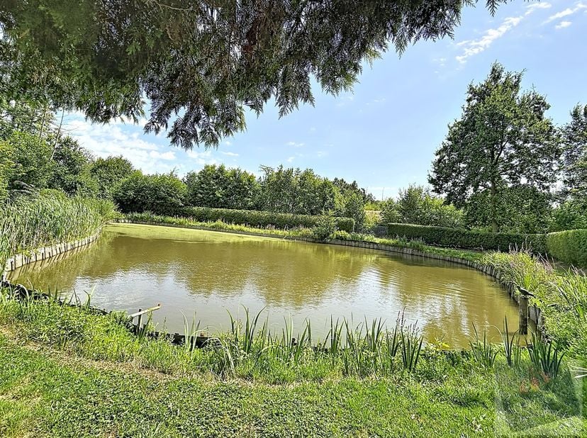 Bent u op zoek naar een eigen plekje in het groen waar rust en natuur centraal staan? Dan is deze verzorgde visvijver op een perceel van 16a10ca in Bo