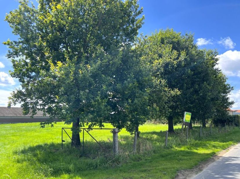 heel rustig gelegen perceel bouwgrond van 767 m² groot<br />
met perfecte zon-oriëntatie en met zicht op de velden<br />
gelegen in een rustige landel