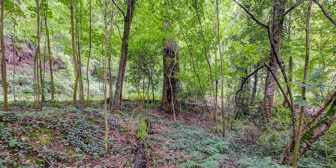 Terrain à vendre à Malpertuusberg 11, 3090 Overijse