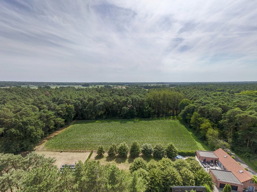 Grond te koop in Neerzand,
                    2275 Poederlee