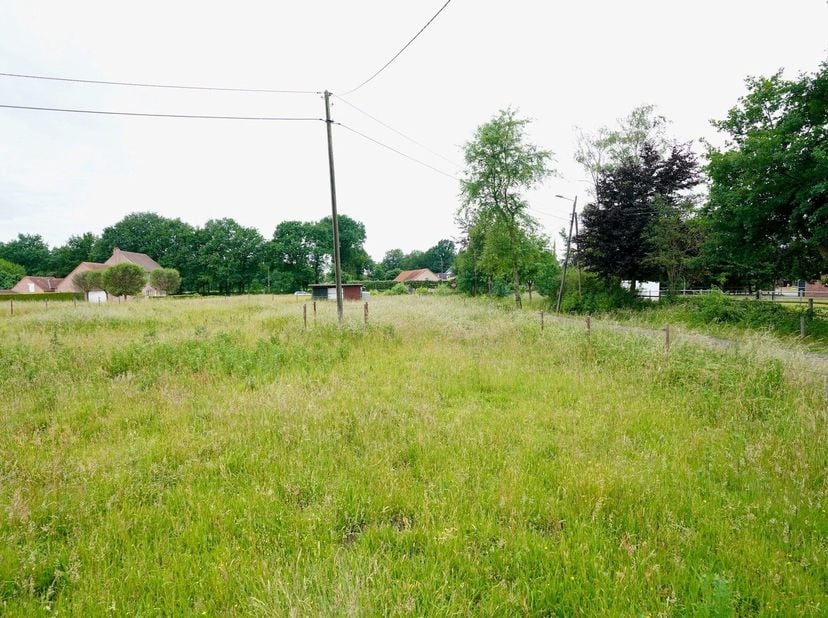 Bouwland perceel van 29a46ca (agrarisch gebied)<br />
Dit landbouw perceel is mogelijk ook bestemd voor professionele landbouw.&amp;nbsp;<br />
<br />
Op