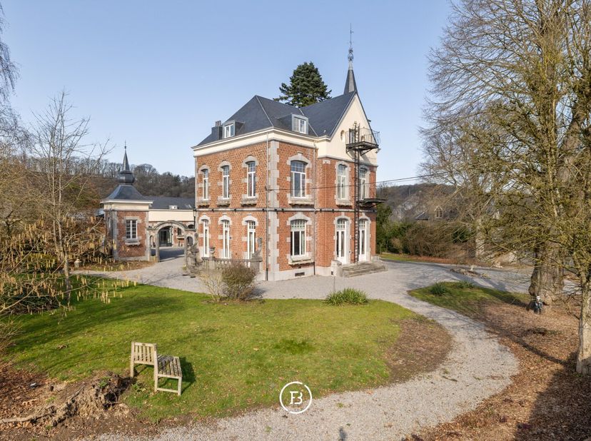 Historische landhuis van L'Ormille aan, daterend uit 1890 en voorzien van alle moderne comfort, volledig gerenoveerd in 2005 met 10 kamers en een bijg