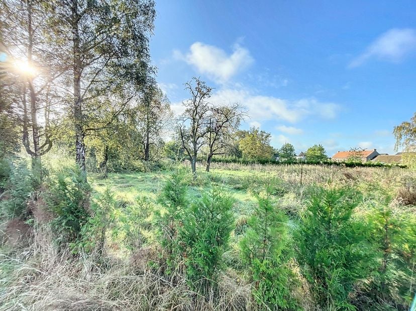 Maison à vendre
                    à 3850 Wijer