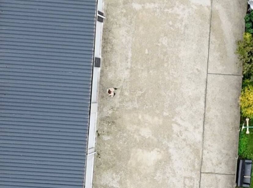 Deze autostandplaats is gelegen achter een kleine residentie, in het centrum van Staden.<br />
Er zijn 3 autostandplaatsen te koop.<br />
Prijs 7000 e