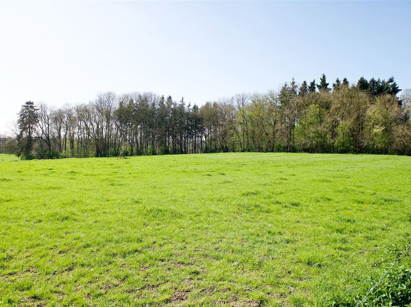 Superbe propriété agricole de 32 ha 43 a 95 ca composée  de terres de culture et prairies, d'une partie boisée, d'un bâtiment de ferme situé dans le v